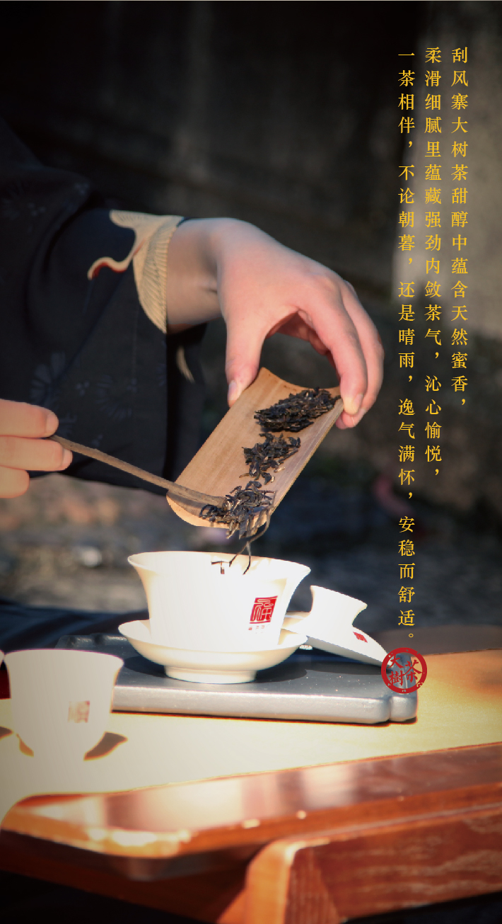 易武刮风寨-h5-06.jpg