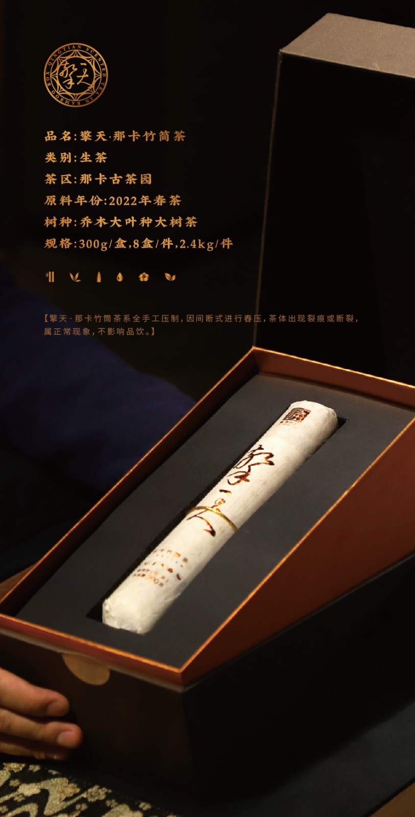 擎天h5_03 (7).jpg